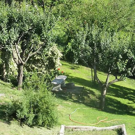 Bed & Breakfast Le Myosotis 3*