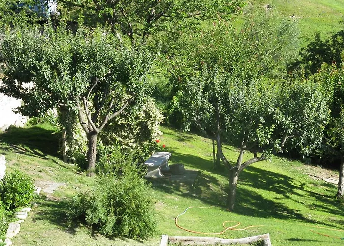 Le Myosotis 3* 기그노드